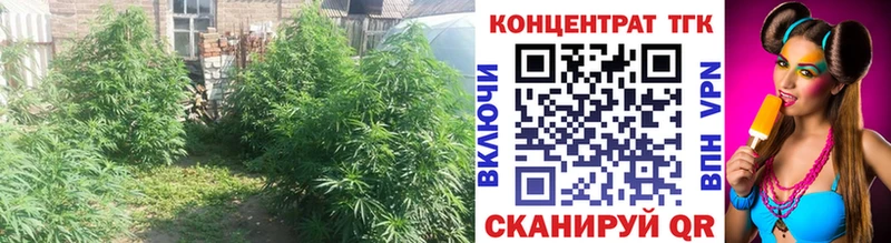 ТГК гашишное масло  Зарайск 