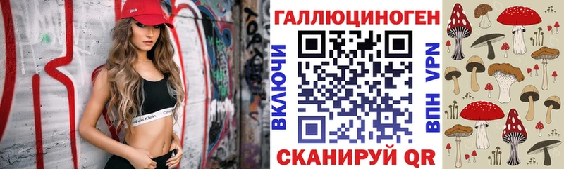 Галлюциногенные грибы Psilocybe  Зарайск 